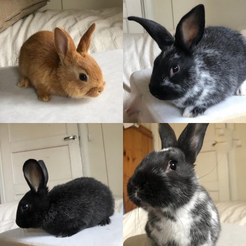 178979551_1693774510829649_7153198943743145752_n