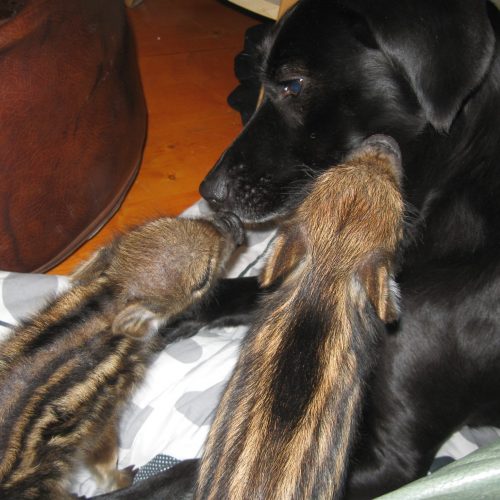 44585403_986012558272518_7471978197106556928_n