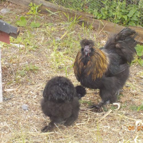 65913761_1148965288643910_835285274085818368_n